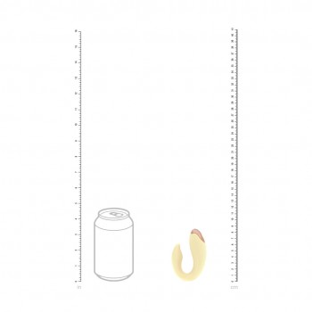 Daydream - Compact G-Spot Vib with Remote Control