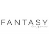 Fantasy Lingerie
