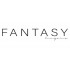 Fantasy Lingerie