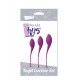 Conjunto Treino Bolas e Ovos Kegel Dream Toys Roxo Conjunto Treino Bolas e Ovos Kegel Dream Toys Roxo