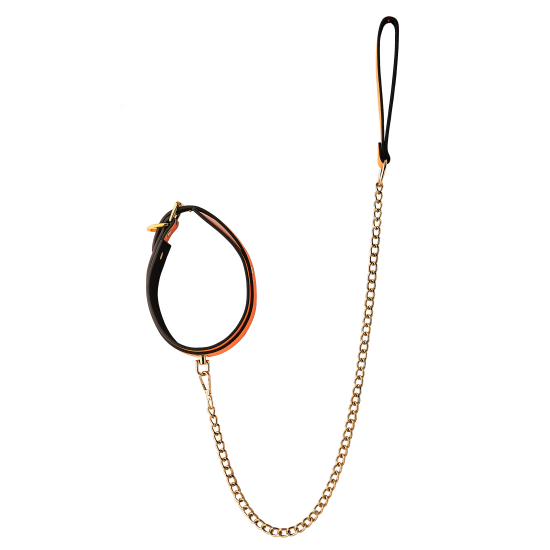 RADIANT COLLAR AND LEASH GLOW IN THE DARK ORANGE RADIANT COLLAR AND LEASH GLOW IN THE DARK ORANGE