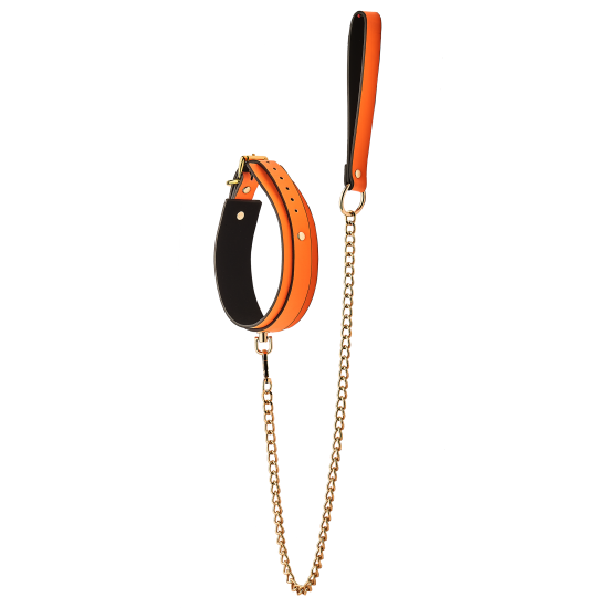 RADIANT COLLAR AND LEASH GLOW IN THE DARK ORANGE RADIANT COLLAR AND LEASH GLOW IN THE DARK ORANGE