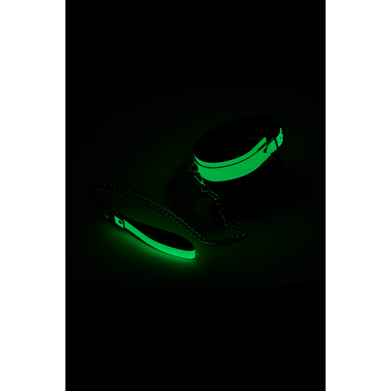 RADIANT COLLAR AND LEASH GLOW IN THE DARK GREEN RADIANT COLLAR AND LEASH GLOW IN THE DARK GREEN