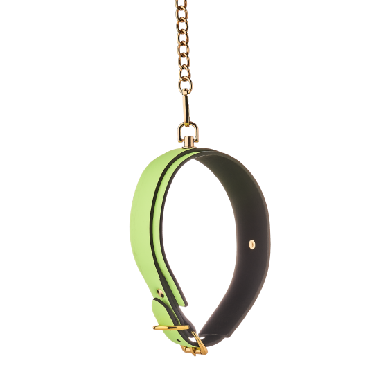 RADIANT COLLAR AND LEASH GLOW IN THE DARK GREEN RADIANT COLLAR AND LEASH GLOW IN THE DARK GREEN