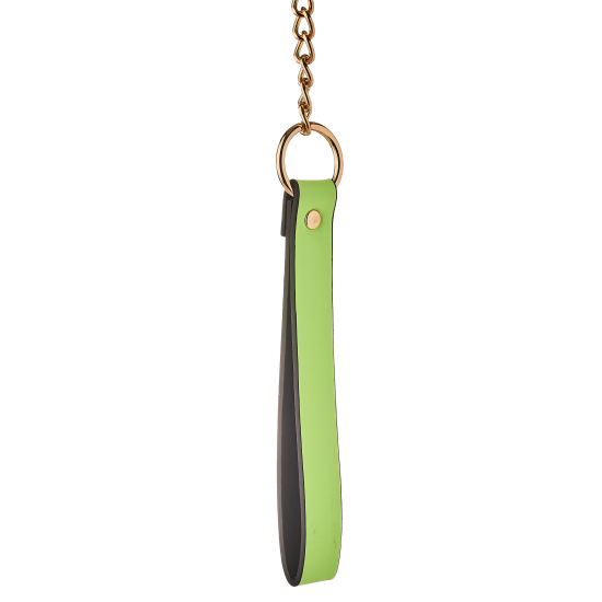 RADIANT COLLAR AND LEASH GLOW IN THE DARK GREEN RADIANT COLLAR AND LEASH GLOW IN THE DARK GREEN