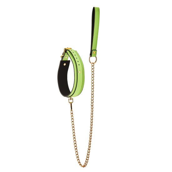 RADIANT COLLAR AND LEASH GLOW IN THE DARK GREEN RADIANT COLLAR AND LEASH GLOW IN THE DARK GREEN