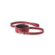 BLAZE ELITE COLLAR AND LEASH RED BLAZE ELITE COLLAR AND LEASH RED