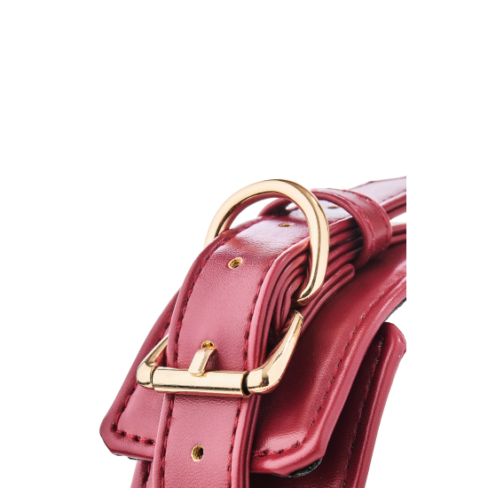 BLAZE ELITE COLLAR AND LEASH RED BLAZE ELITE COLLAR AND LEASH RED