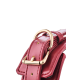 BLAZE ELITE COLLAR AND LEASH RED BLAZE ELITE COLLAR AND LEASH RED