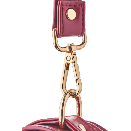 BLAZE ELITE COLLAR AND LEASH RED BLAZE ELITE COLLAR AND LEASH RED