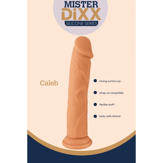 Caleb é um dildo de silicone ultrarrealista de 20 cm projetado para clientes que buscam desempenho realista e materiais de alta qualidade. Fabricado em silicone macio e seguro para o corpo, apresenta veias realistas e um