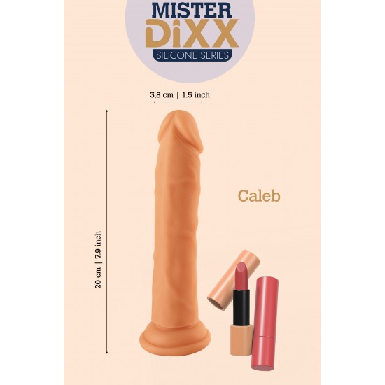 Caleb é um dildo de silicone ultrarrealista de 20 cm projetado para clientes que buscam desempenho realista e materiais de alta qualidade. Fabricado em silicone macio e seguro para o corpo, apresenta veias realistas e um