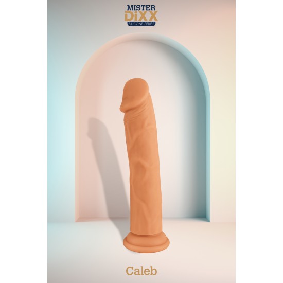 Caleb é um dildo de silicone ultrarrealista de 20 cm projetado para clientes que buscam desempenho realista e materiais de alta qualidade. Fabricado em silicone macio e seguro para o corpo, apresenta veias realistas e um