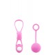 The Alexandra -Experience one of the oldest forms of female stimulation. Dating back over 100 years, the Kegel Ball was created to enhance the sexual experience by exercising & toning the vaginal muscles. Use the balls a