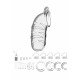 Cinto Castidade Modelo 05 14cm ManCage Transparente Coloque o seu amante em bloqueio total!Cinto de castidade feito em policarbonato de alta qualidade, hipoalergico e de longa durabilidade. Dividido em partes que se encaixam na perfeição poderá regular para que encontre o