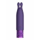 Vibrador Twinkle - Recarregavel Silicone - Purple Escondida por baixo do seu exterior de silicone de qualidade médica, sedosa e suave, encontra-se uma qualidade inigualável. A ponta especial do TWINKLE farácócegas e estimulará todos os seus lugares especiais. O design m