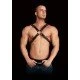 Arnês de Torso Bondage Adonis Pele Preto Adicione ainda mais intensidade às suas aventuras sexuais e permita-se desfrutar do melhor da vida!Arnês masculino fetichista todo em pele decorado com anéis de metal. Com detalhes apaixonantes e super confortável de se