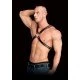 Arnês de Torso Bondage Adonis Pele Preto Adicione ainda mais intensidade às suas aventuras sexuais e permita-se desfrutar do melhor da vida!Arnês masculino fetichista todo em pele decorado com anéis de metal. Com detalhes apaixonantes e super confortável de se